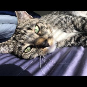 Meet your Posher, Darla